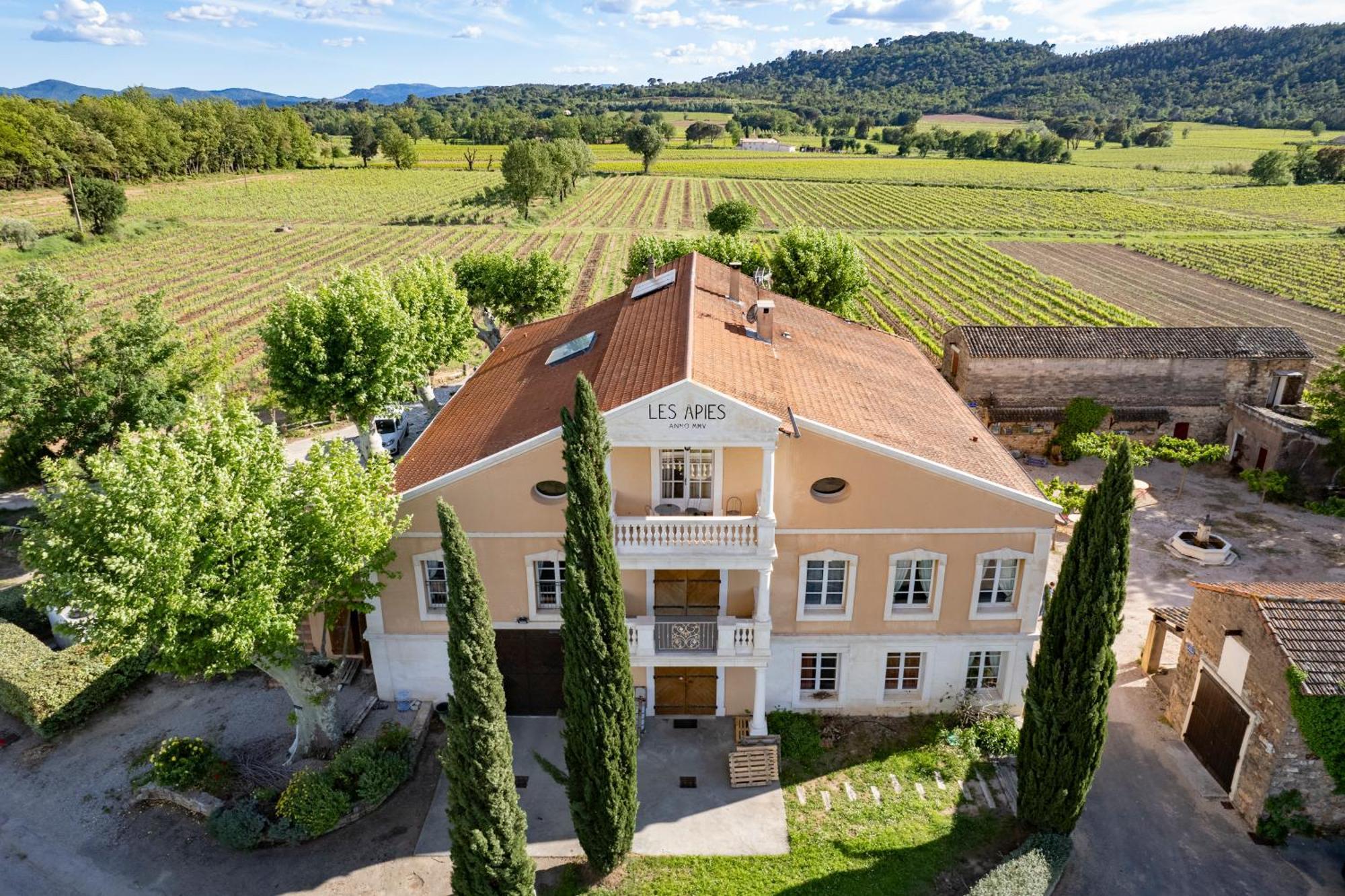 Gite Vert D'Olive Au Milieu Des Vignes - Chateau Les Apies Les Arcs-sur-Argens Eksteriør billede