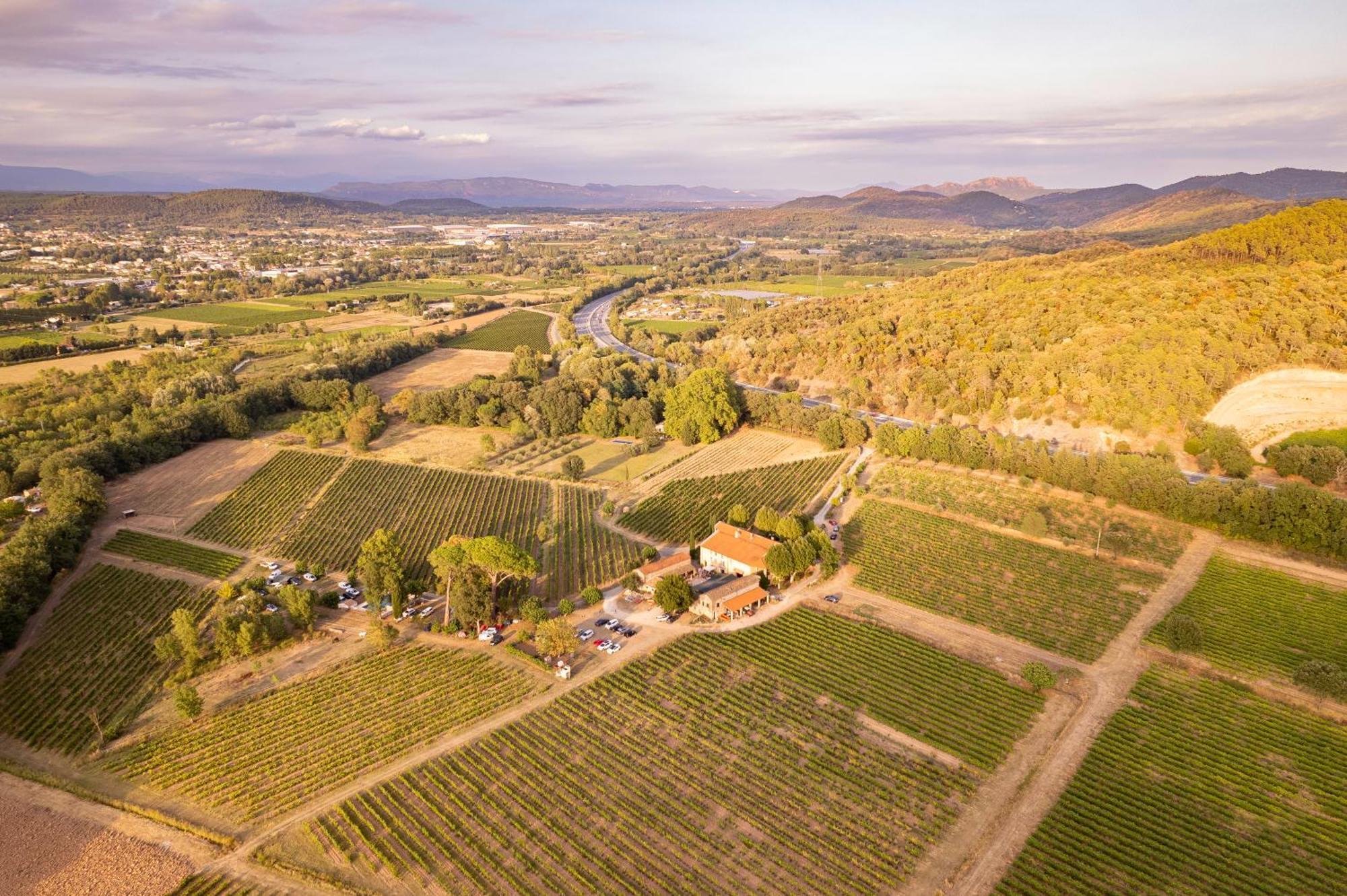 Gite Vert D'Olive Au Milieu Des Vignes - Chateau Les Apies Les Arcs-sur-Argens Eksteriør billede